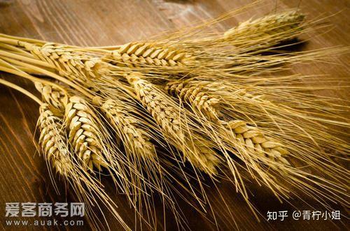 小麦正确喷施叶面肥的4种方法,一旦使用错误,花了钱又没效果